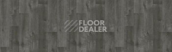 Линолеум Tarkett Bonus DUART 4 фото 1 | FLOORDEALER